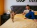 Bengal cat walking on a bed